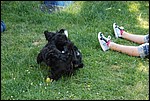 DSC_0084.JPG