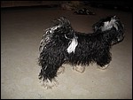 IMG_5866.JPG