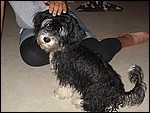 IMG_5869.JPG