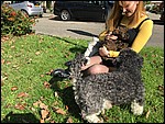 IMG_8613.JPG