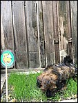 IMG_8618.JPG