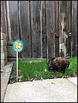 IMG_8620.JPG