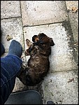 IMG_8622.JPG
