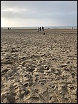 IMG_9711.JPG
