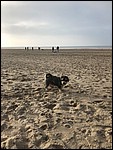 IMG_9713.JPG