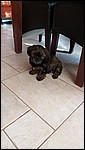IMG_8630.JPG