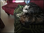 IMG_8639.JPG
