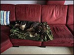 IMG_8640.JPG