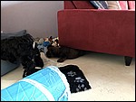 IMG_8682.JPG