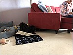 IMG_8683.JPG