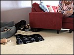 IMG_8684.JPG