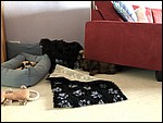 IMG_8685.JPG