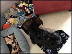 IMG_8688.JPG
