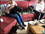 IMG_8689.JPG