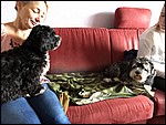 IMG_8693.JPG
