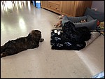 IMG_8696.JPG