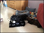 IMG_8697.JPG