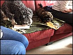 IMG_8698.JPG