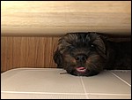 IMG_8700.JPG
