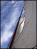IMG_3173.JPG
