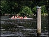 IMG_3184.JPG