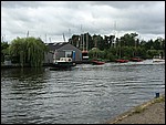 IMG_5339.JPG