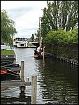 IMG_5355.JPG