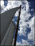 IMG_5374.JPG