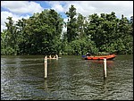 IMG_5381.JPG